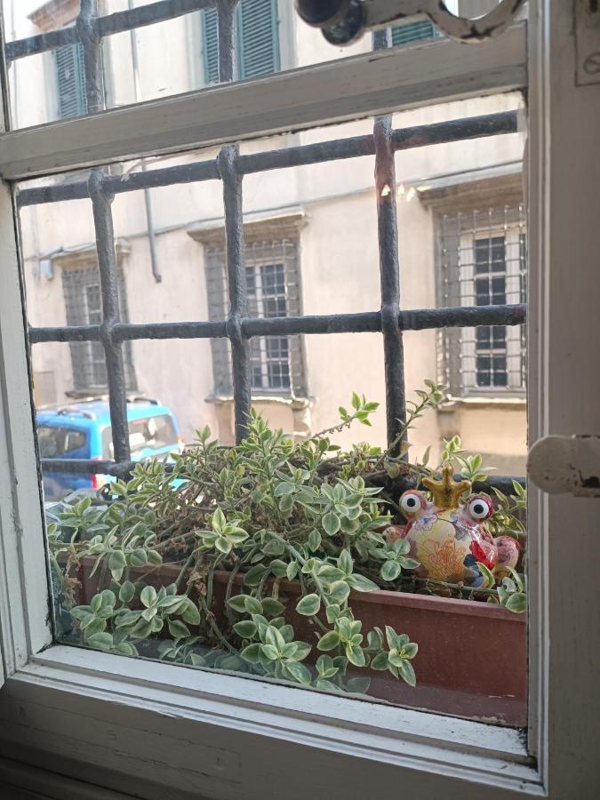 La Chiocciolina Διαμέρισμα Λούκα Εξωτερικό φωτογραφία